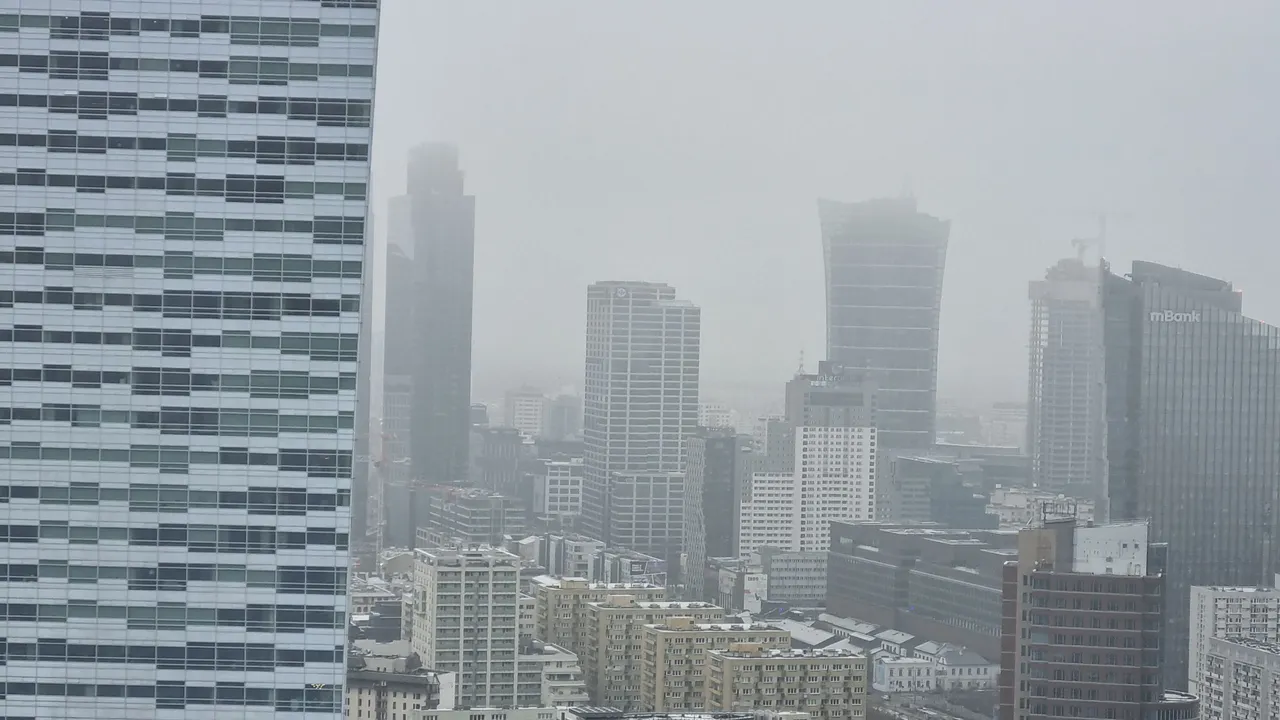 20231202_111443.jpg