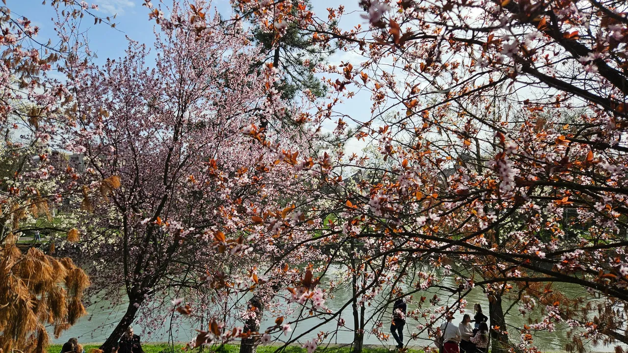 20250323_152129.jpg