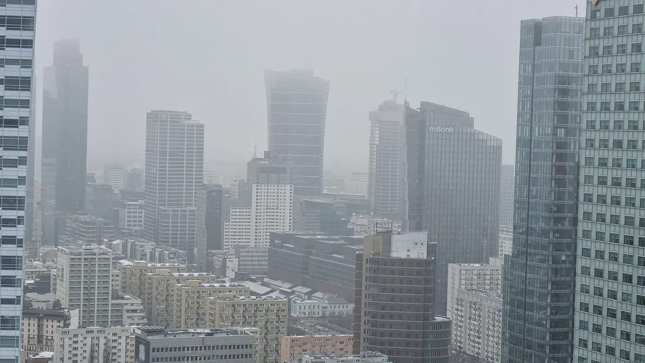 20231202_111446.jpg
