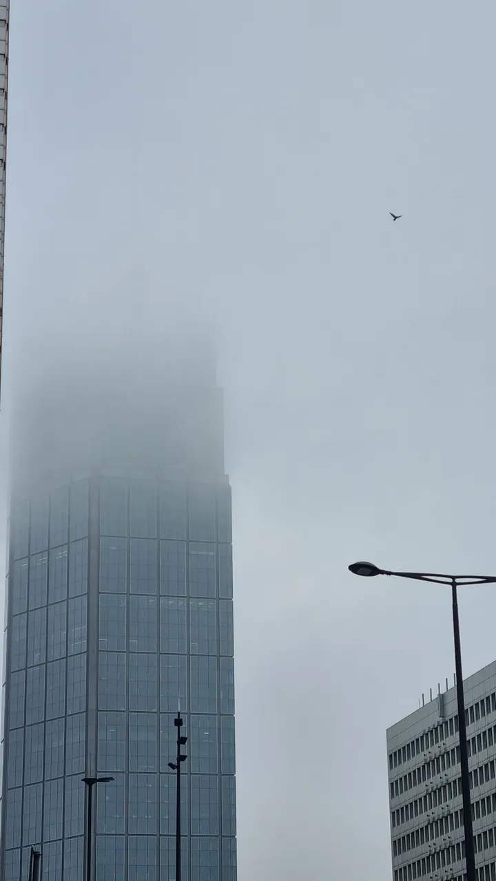 20231202_102338.jpg