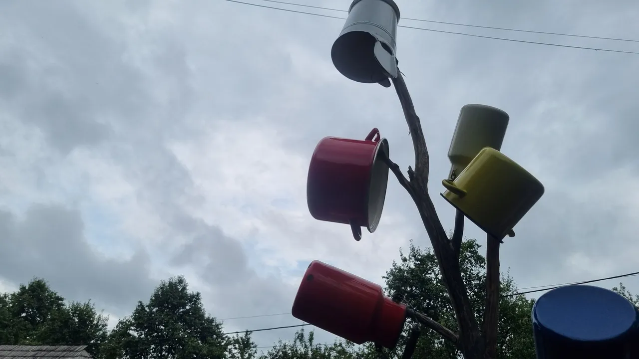 20240809_142703.jpg