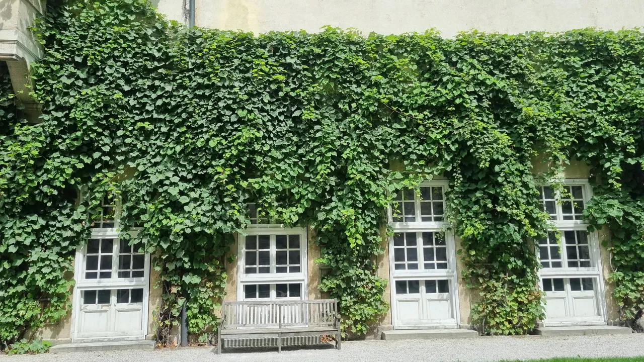 20230817_125855.jpg