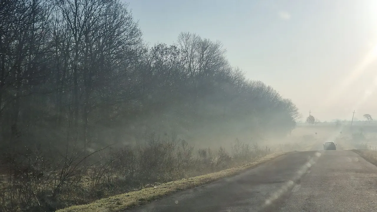 20221225_093047.jpg