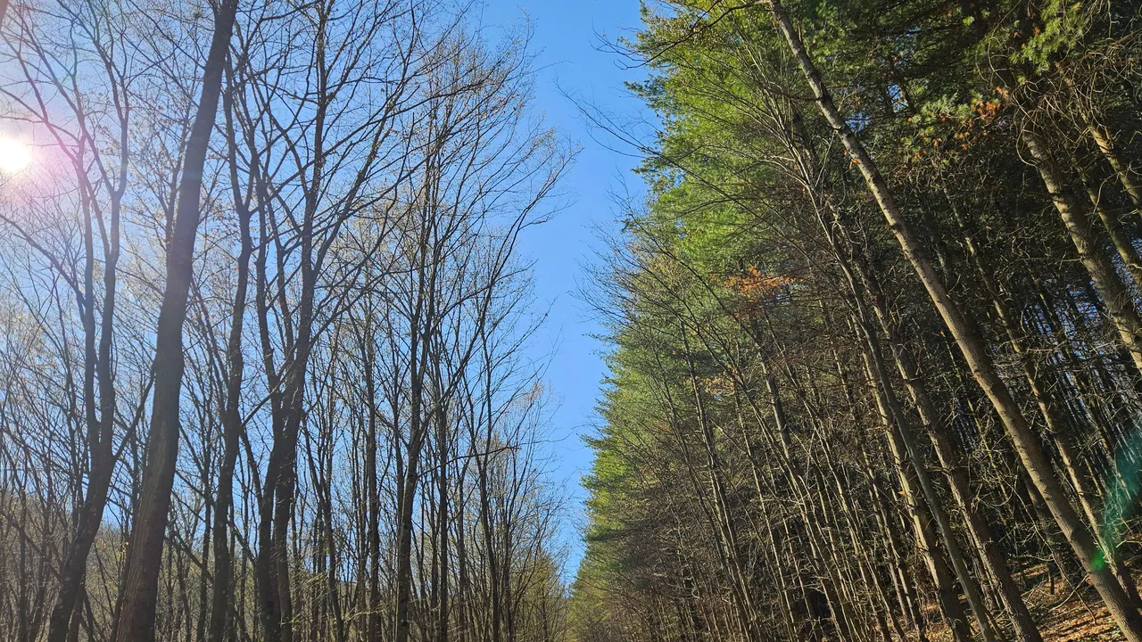 20250320_145707.jpg