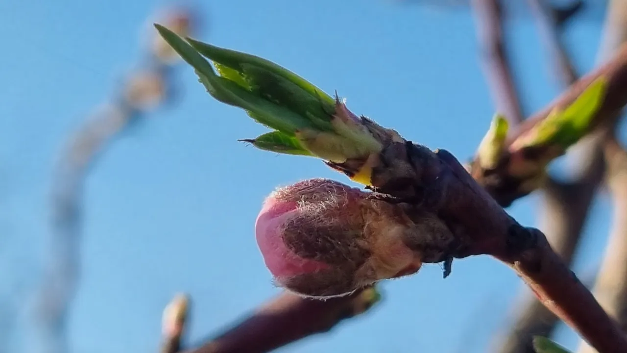 20240303_163504.jpg