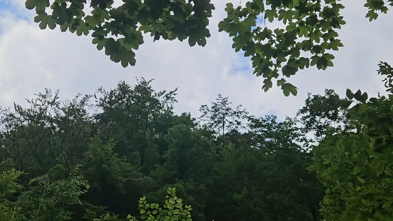 20250629_143043.jpg