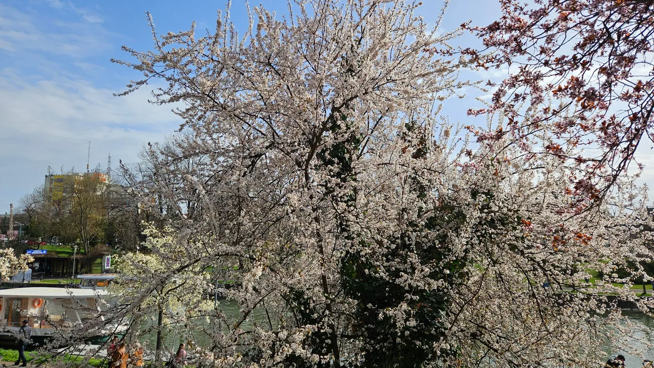 20250323_152055.jpg