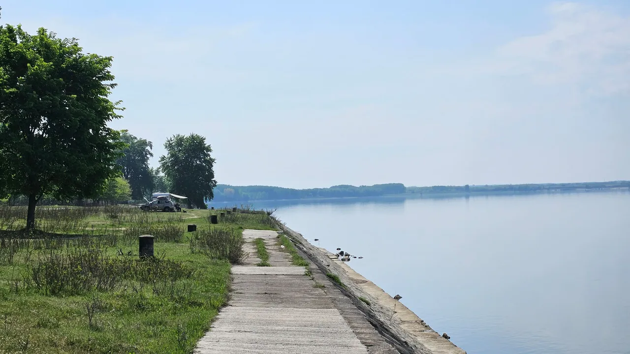 20250426_111212.jpg