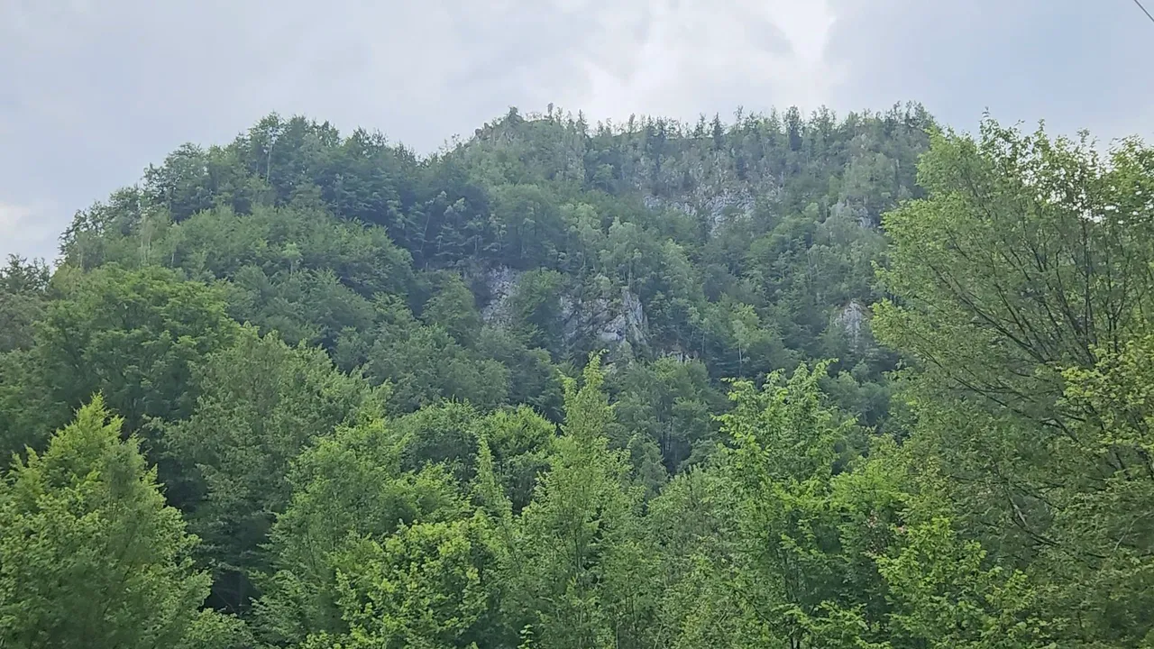 20250629_144441.jpg