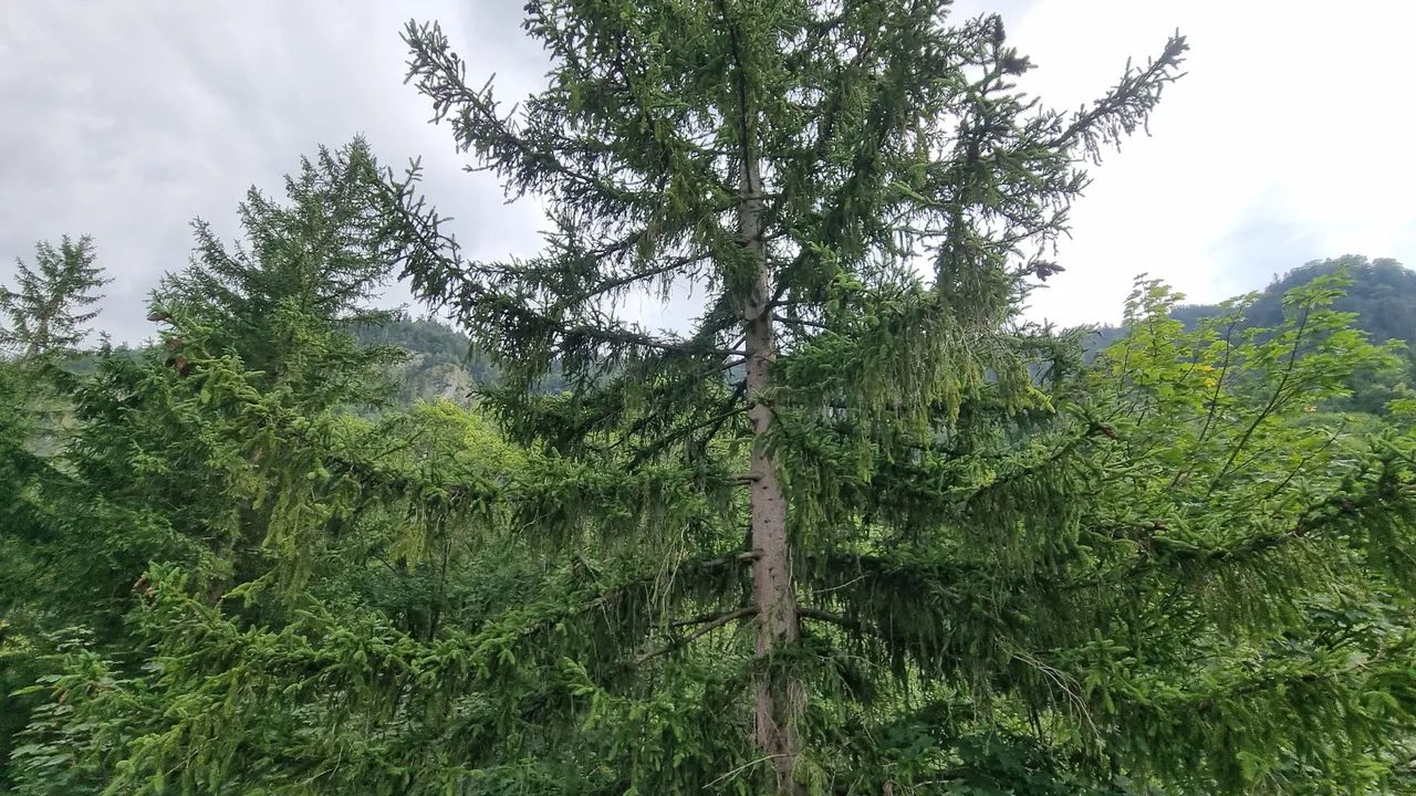 20230815_171843.jpg
