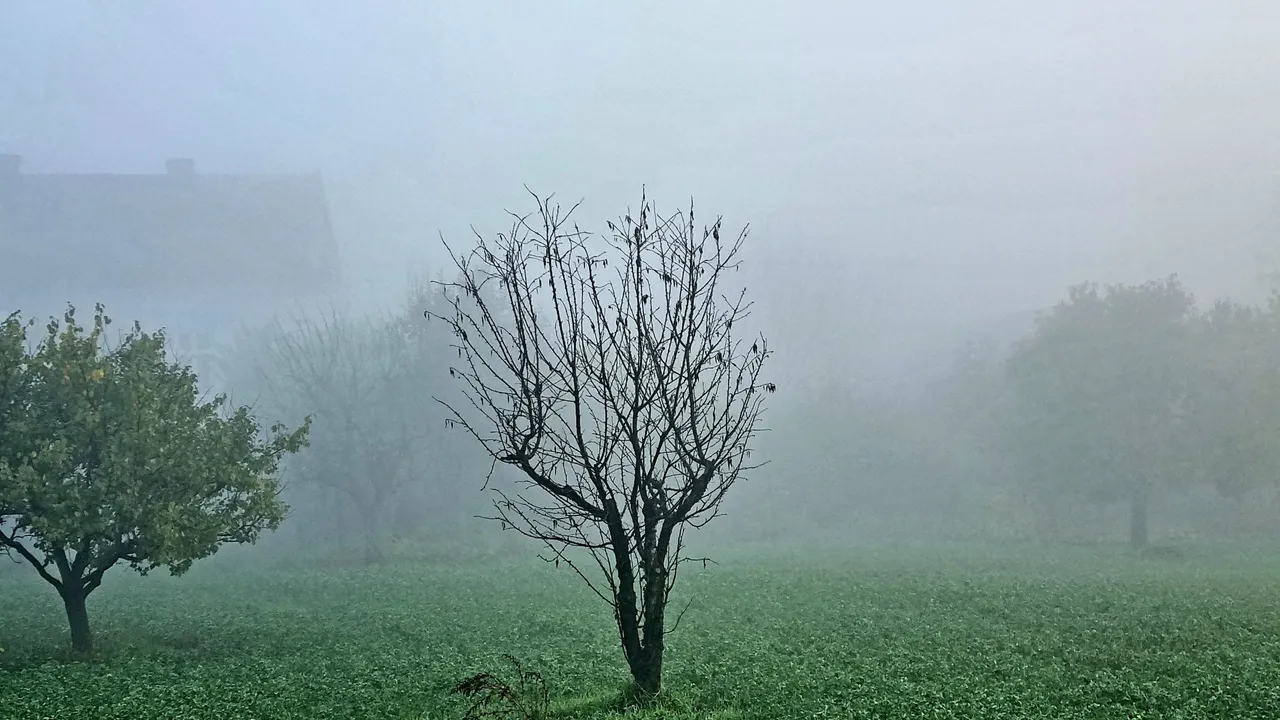 20221108_080314.jpg