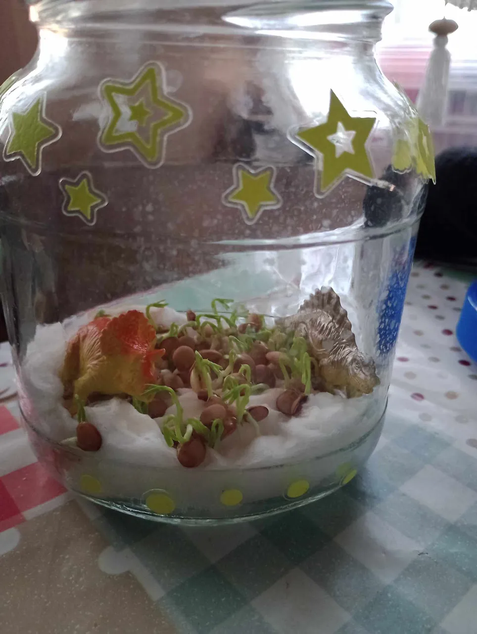 received_1126176735482567.jpeg