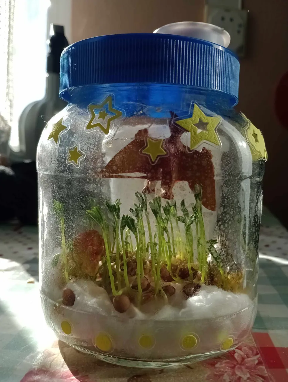 received_1766123167166383.jpeg