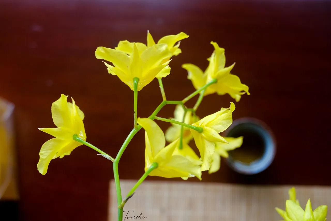 DSCF5804.JPG