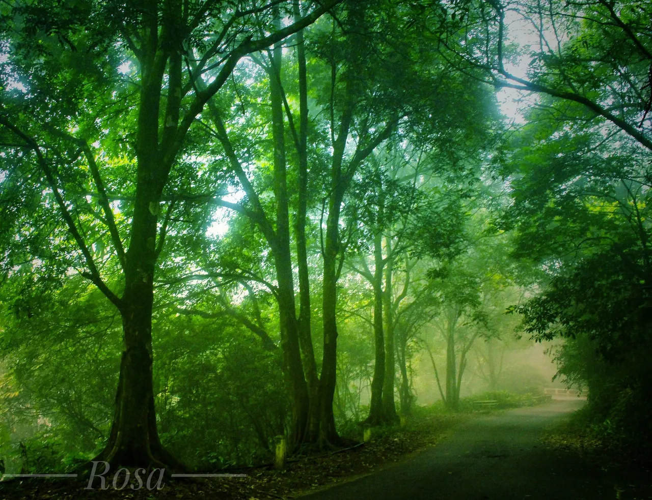 z3303113110488_4caabb20fbbeaad593d33aaec11c0686.jpg