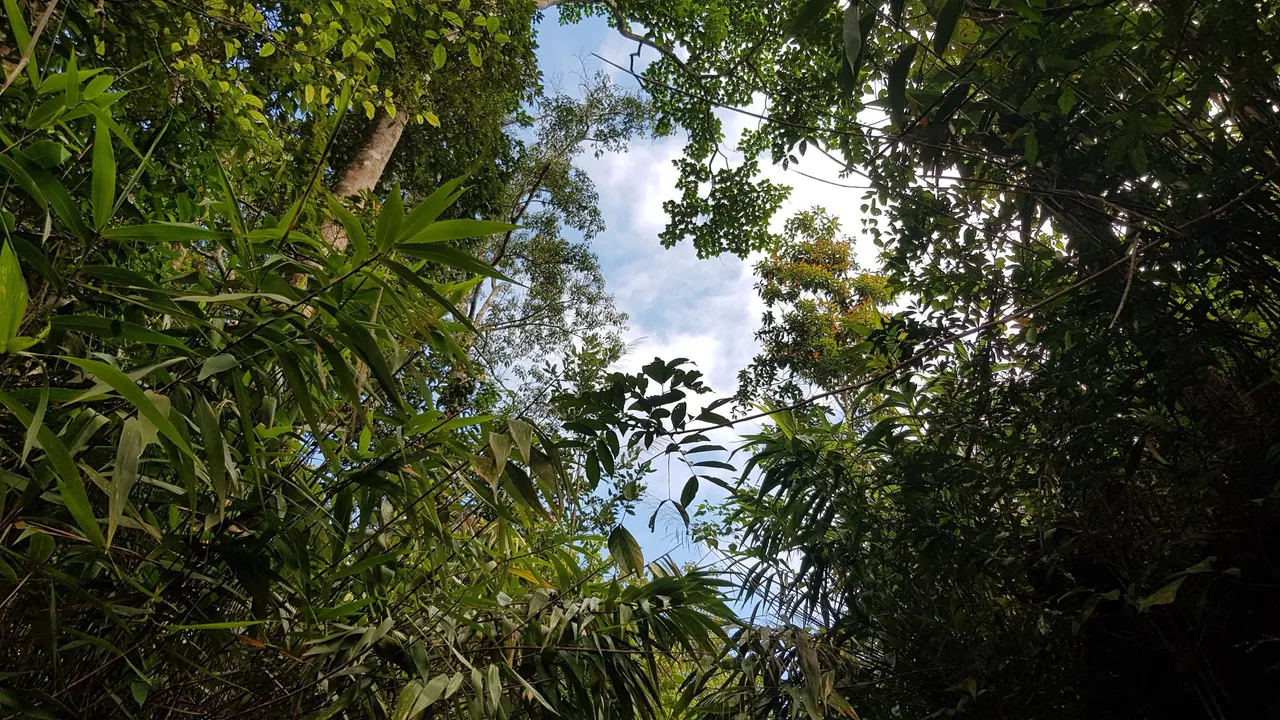 z3280027276143_462cae62296d082eae143c55ad7f2e4a.jpg