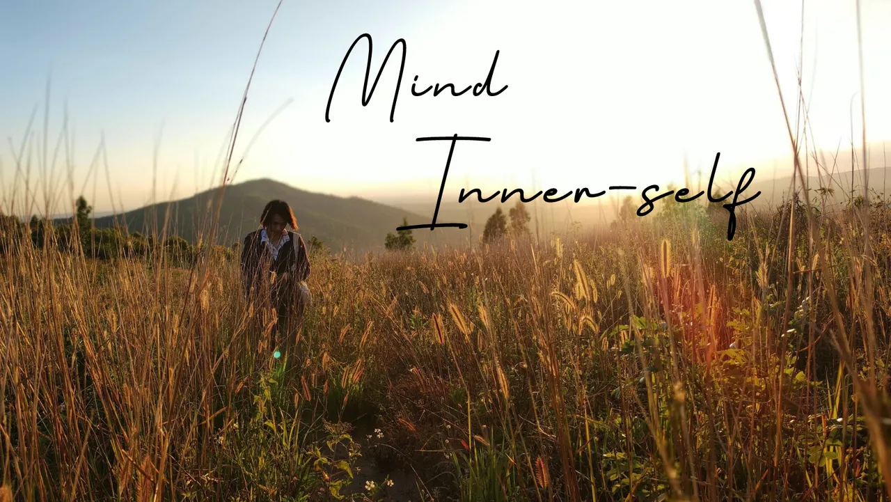 Mind.png