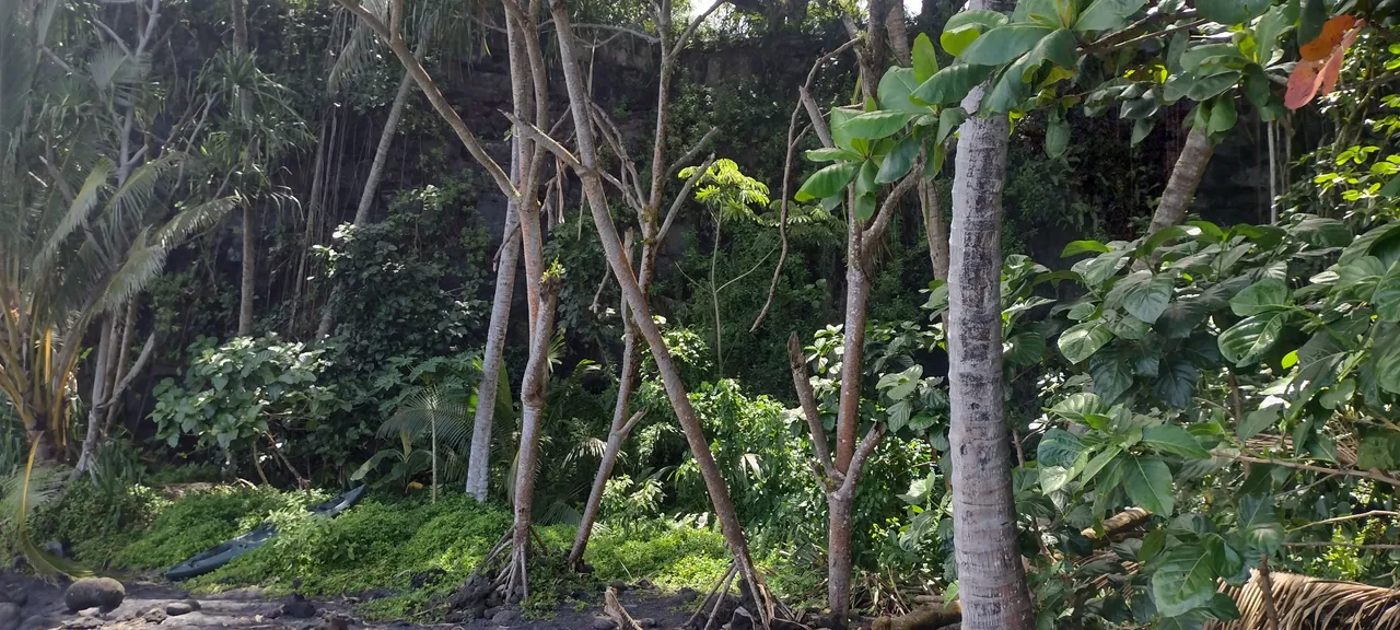 IMG_20220626_131458860_HDR.jpg