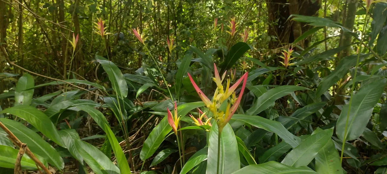 IMG_20230701_121701774_HDR.jpg