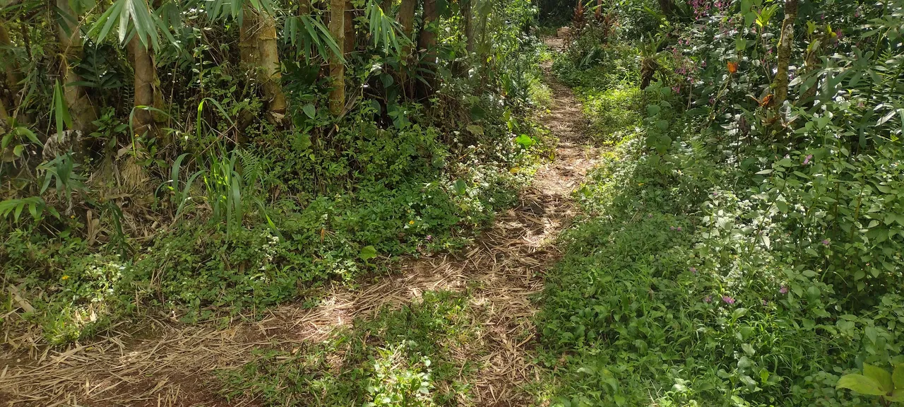 IMG_20230917_144541988_HDR.jpg