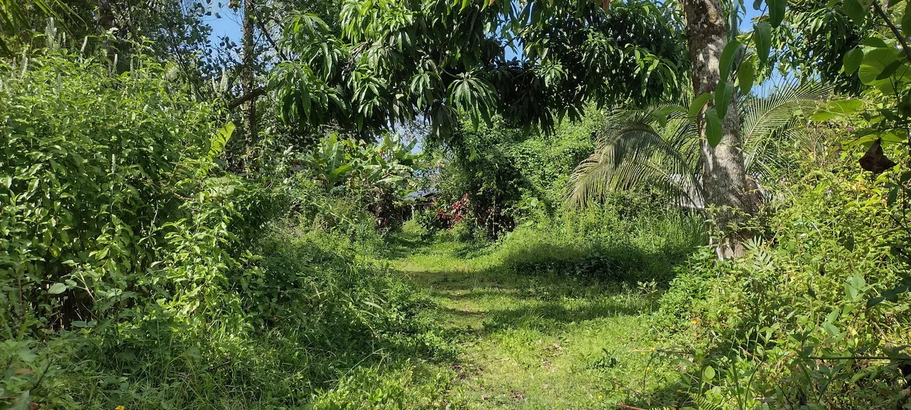 IMG_20231003_144224178_HDR.jpg