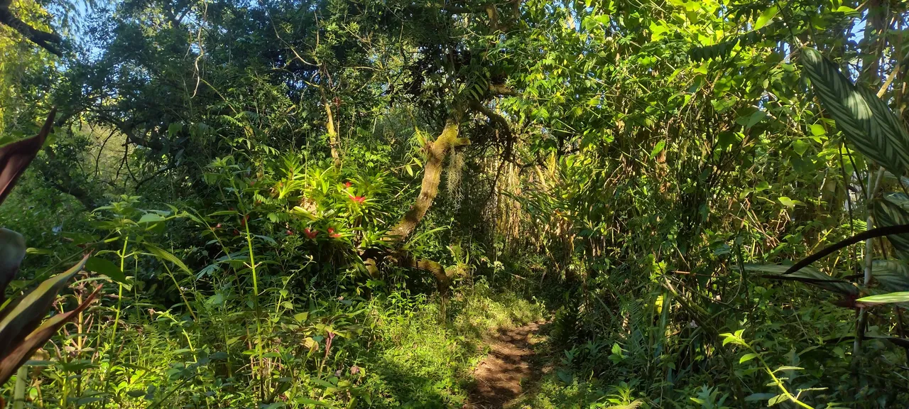 IMG_20231031_160955211_HDR.jpg