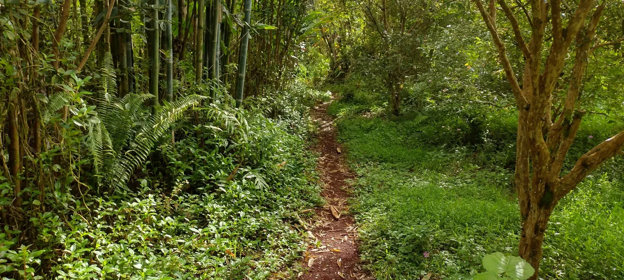 IMG_20231210_143753728_HDR.jpg