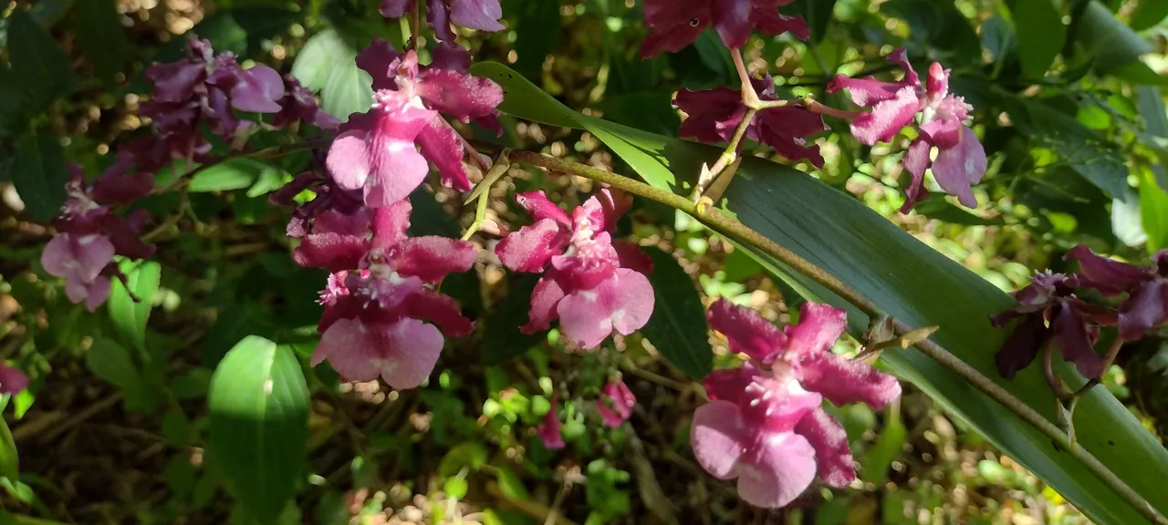 IMG_20240129_095448102_HDR.jpg