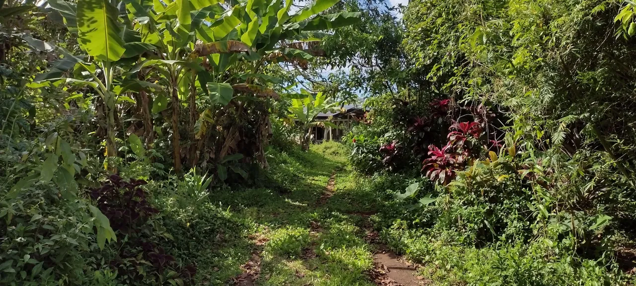 IMG_20230714_160008687_HDR.jpg