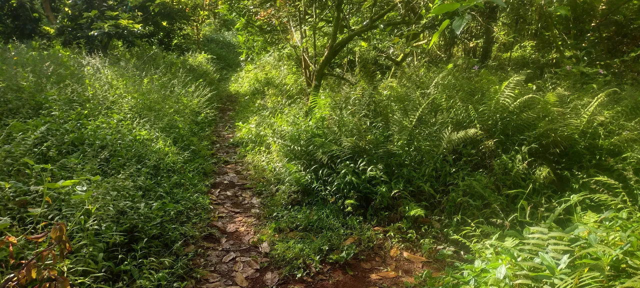 IMG_20231102_083414132_HDR.jpg