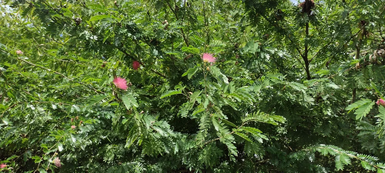 IMG_20220525_143822422_HDR.jpg
