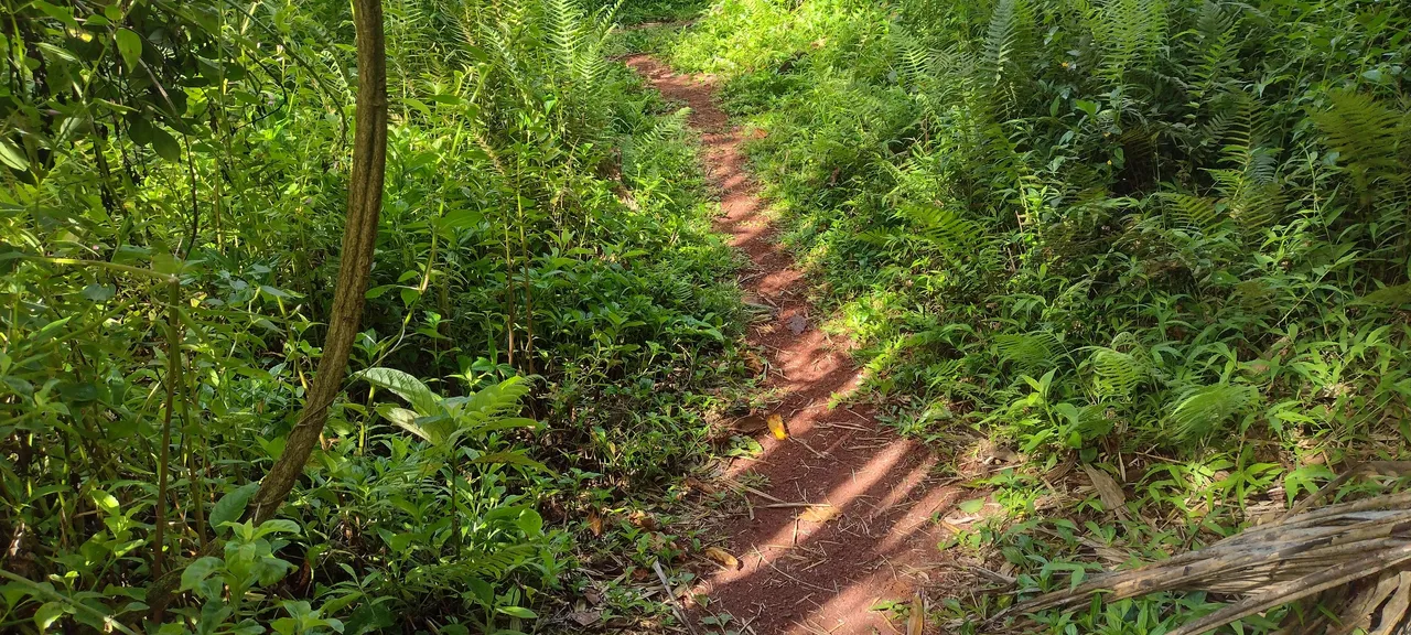IMG_20230704_155027295_HDR.jpg