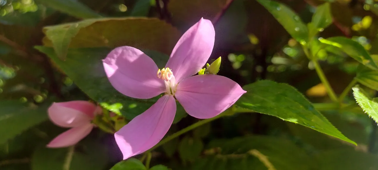 IMG_20231015_083847839_HDR.jpg