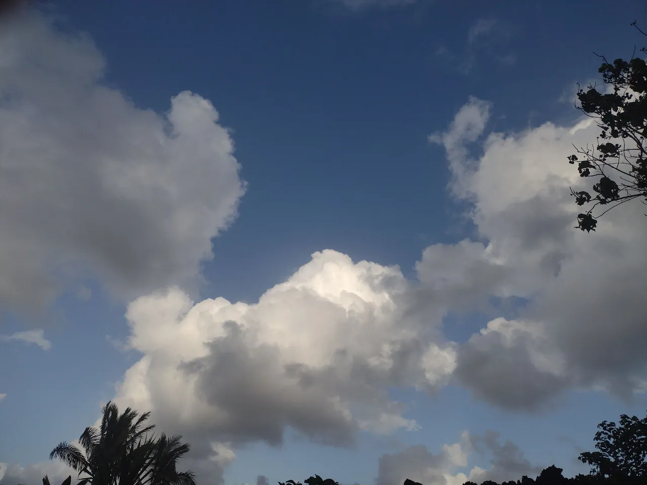 IMG_20220424_171953952.jpg