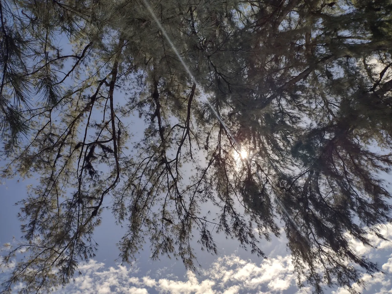 IMG_20220216_132443912_HDR.jpg