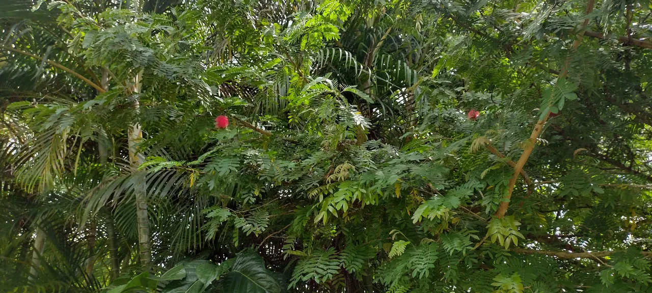 IMG_20220525_142534932_HDR.jpg