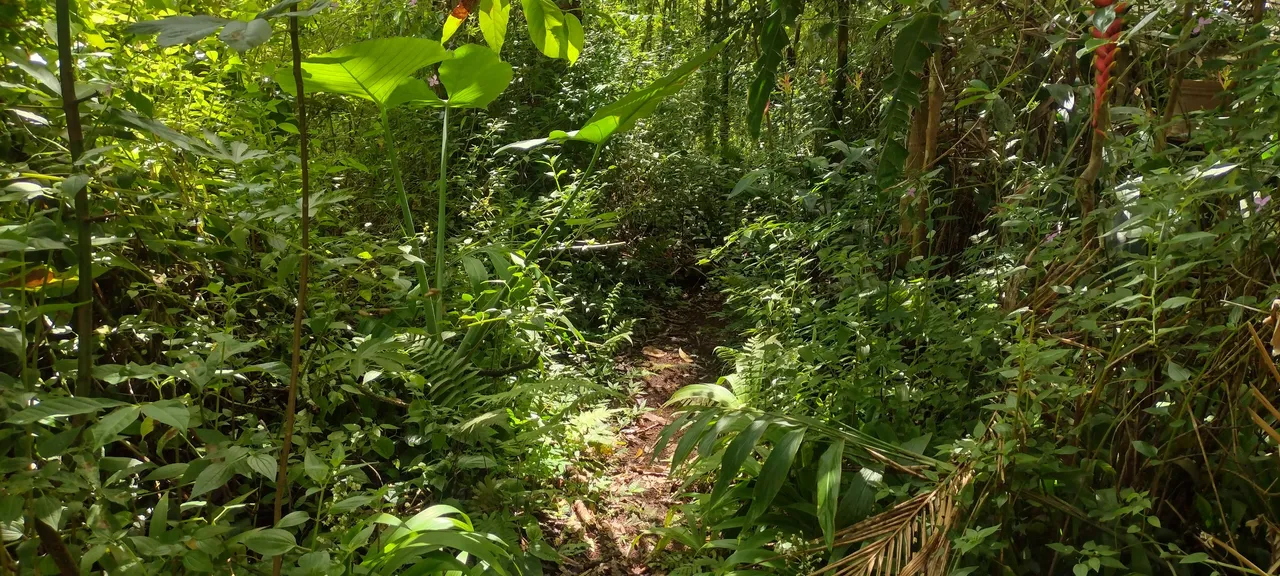 IMG_20230823_103430913_HDR.jpg