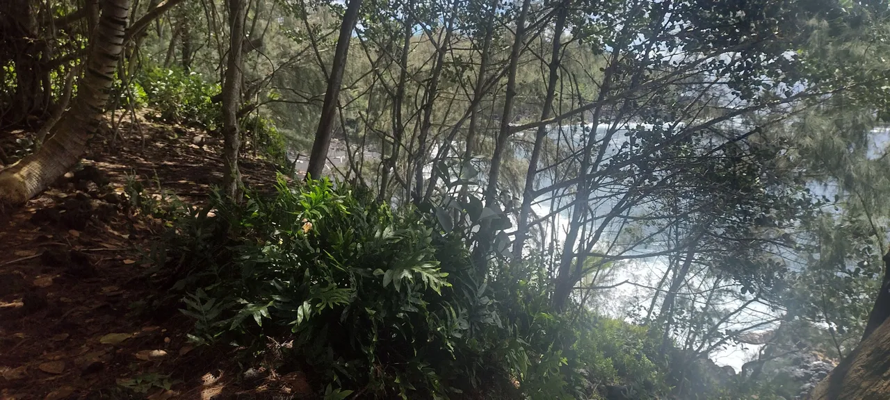 IMG_20220626_112045843_HDR.jpg