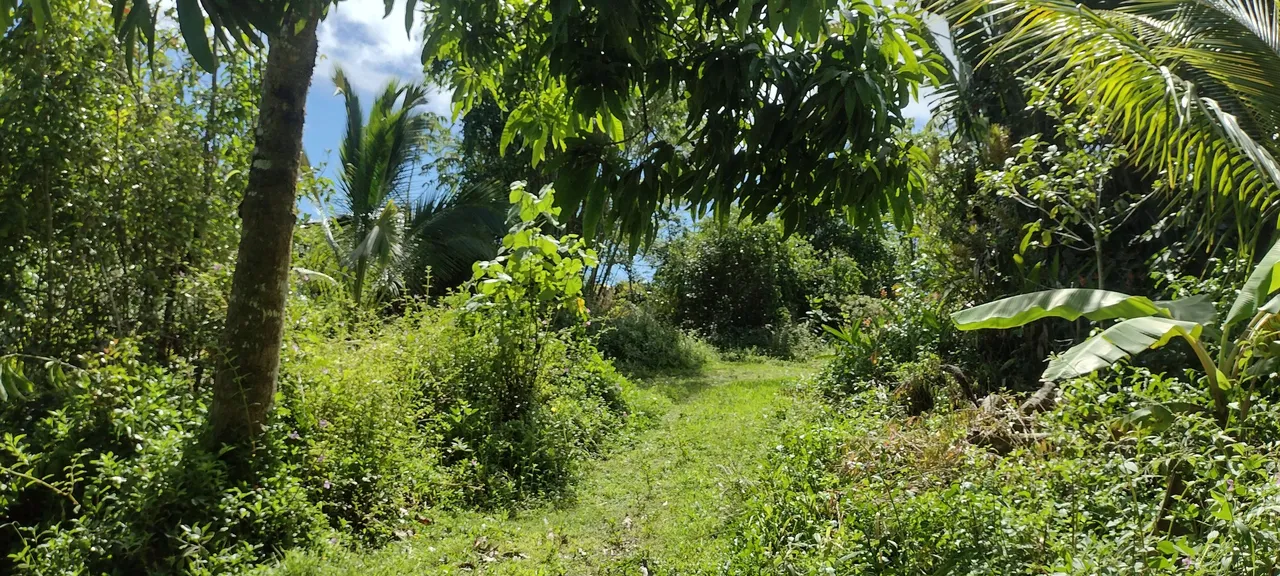 IMG_20231027_115738257_HDR.jpg