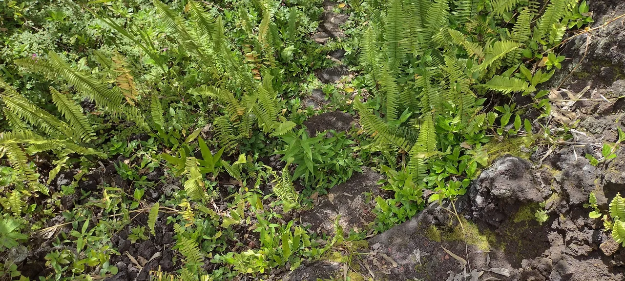 IMG_20230608_143216943_HDR.jpg