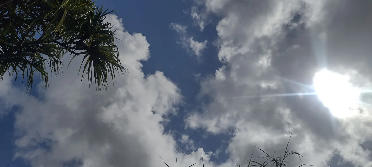 IMG_20230422_083109926_HDR.jpg