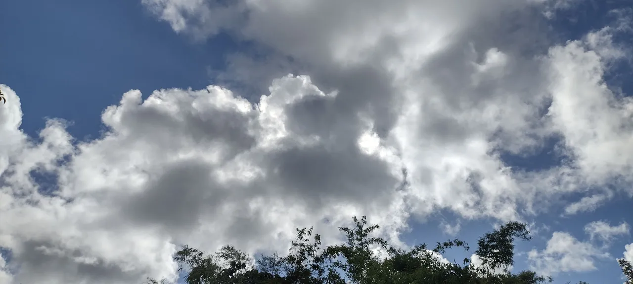 IMG_20230705_161414652_HDR.jpg
