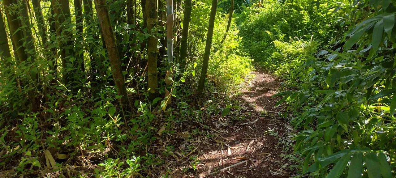 IMG_20231006_083138669_HDR.jpg