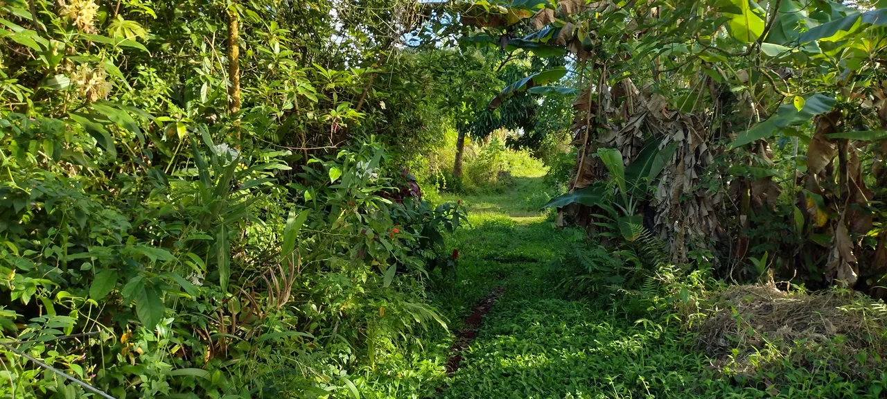 IMG_20230925_162852629_HDR.jpg
