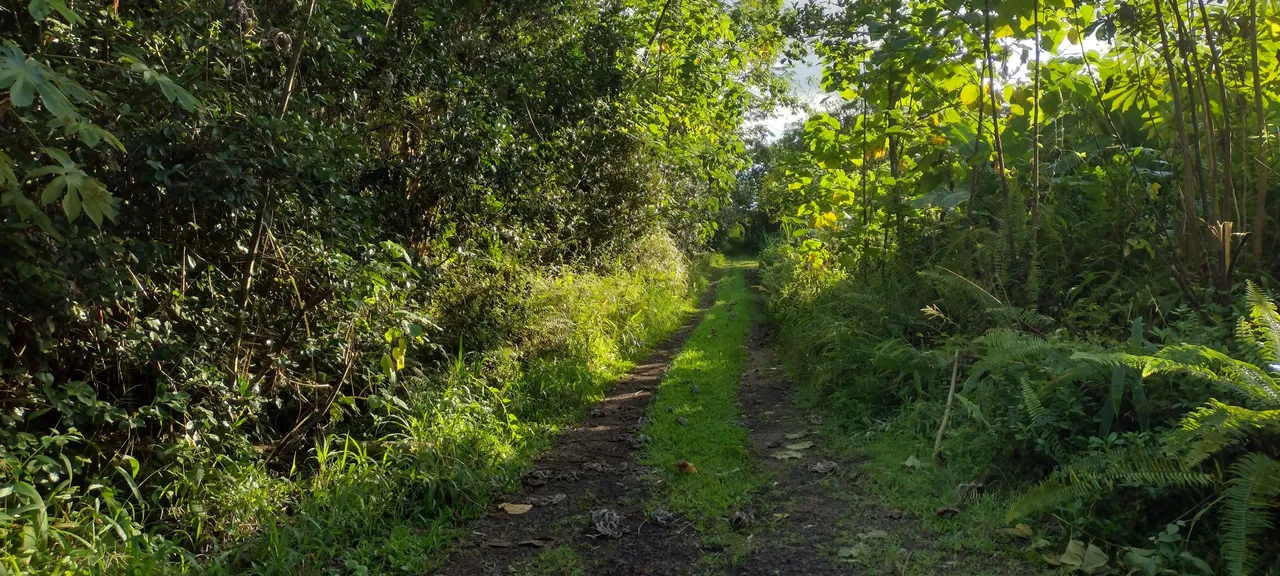 IMG_20231027_162604731_HDR.jpg