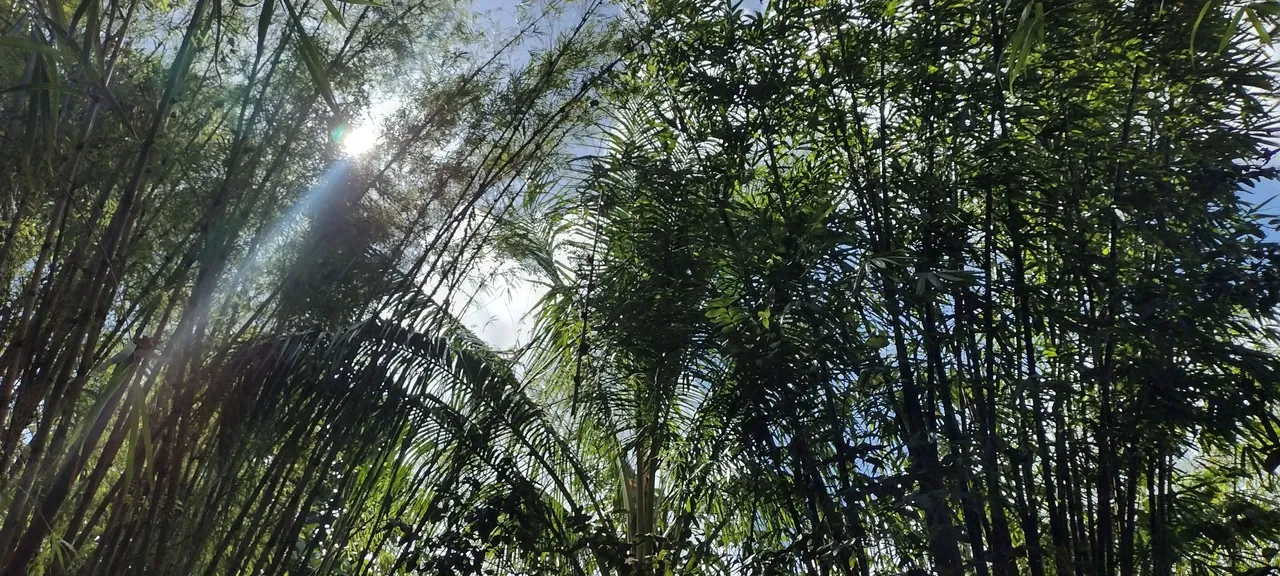 IMG_20240116_142104911_HDR.jpg