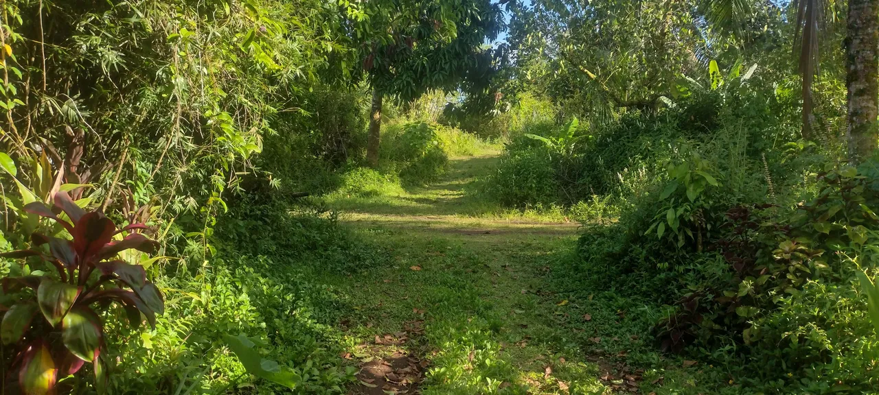 IMG_20230717_163818074_HDR.jpg