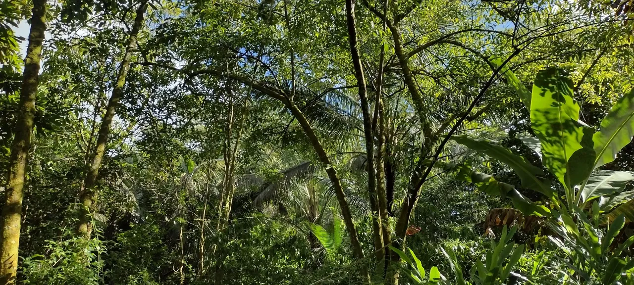 IMG_20230706_155836773_HDR.jpg