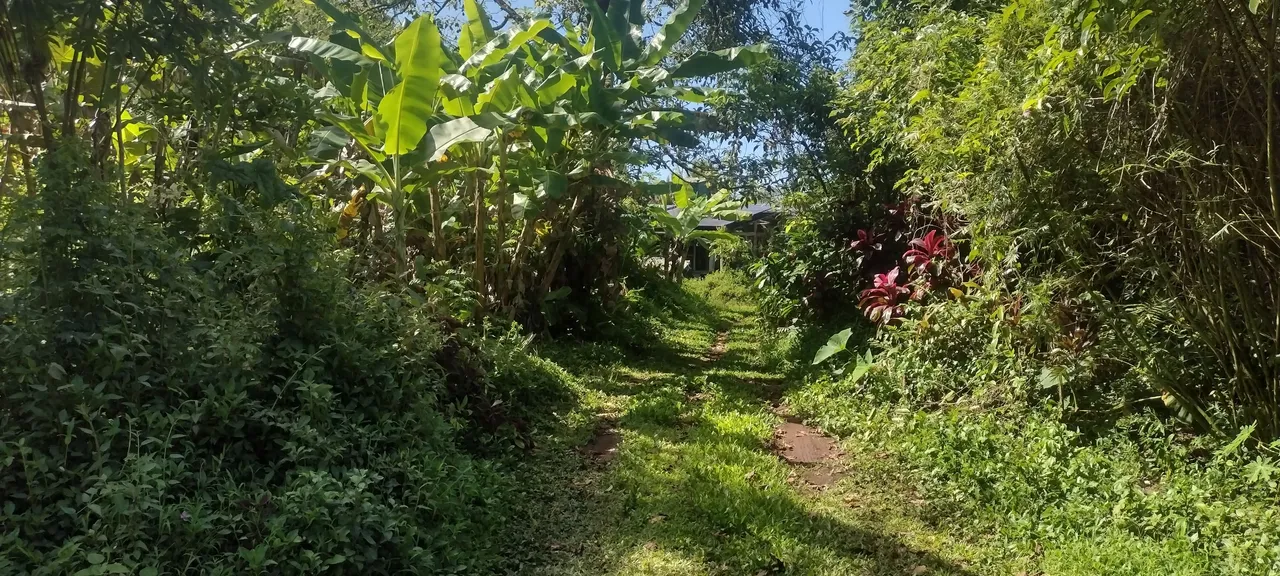 IMG_20230701_153909528_HDR.jpg