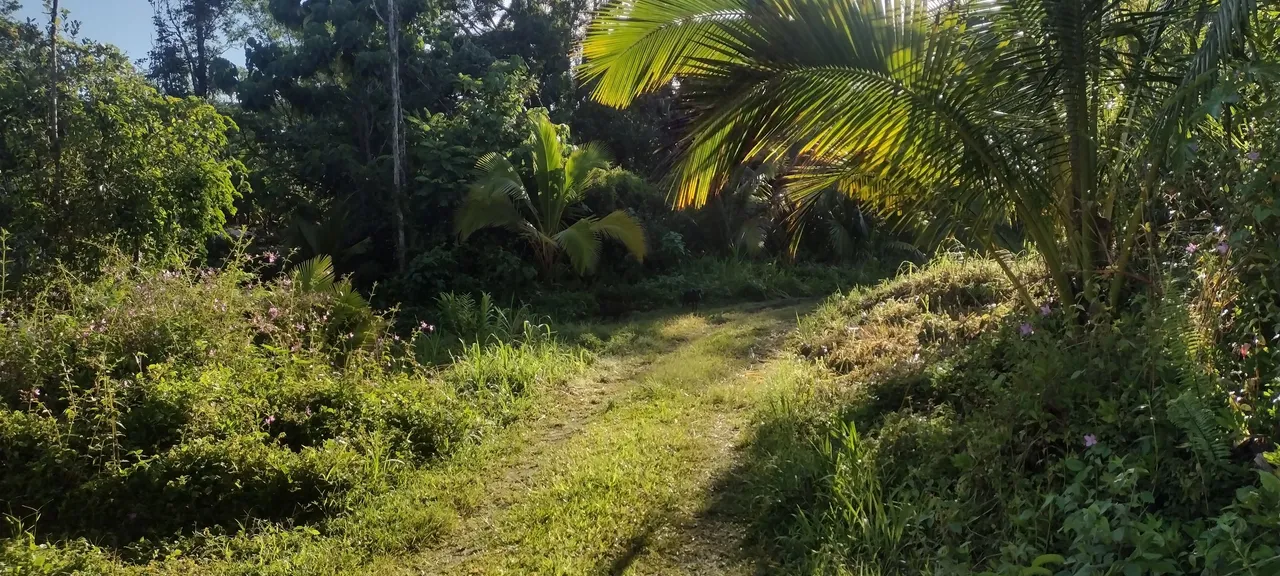 IMG_20230620_070340931_HDR.jpg
